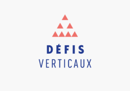 logo Défis Verticaux, association sportive, raphael panerai