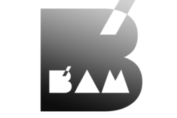 logo bam festival koopski raphael panerai