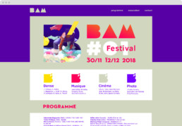 BAM festival webdesign, koopski raphael panerai