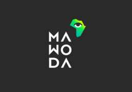 logo Mawoda conseil, raphael panerai 2018